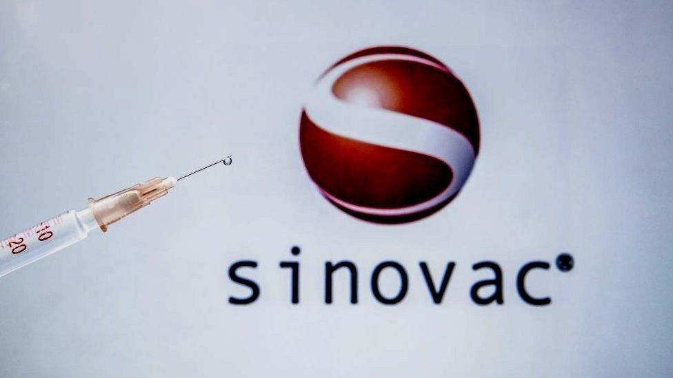 Sinovac Biotech Ltd